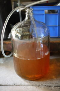 Home Brewing Beer Process Image